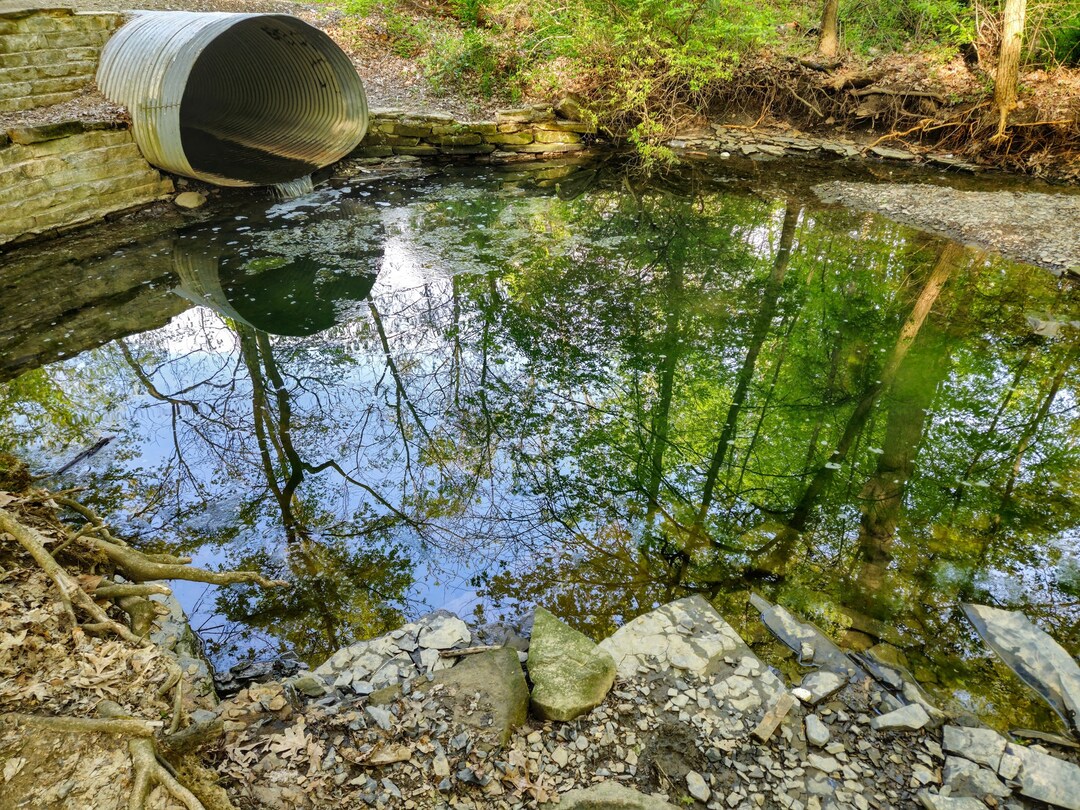 Spring Forest Pool Spring Forest Pool Digital Print - Desktop Wallpaper, Spring Background ...