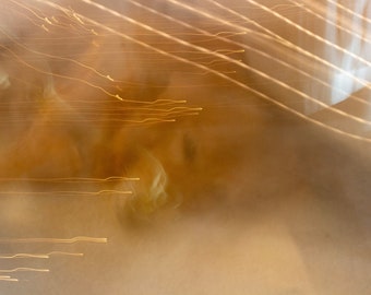 Golden Dreams Digital Print, golden retriever, abstract photo, abstract, digital photo, dog photo, pet portrait, golden retriever photo