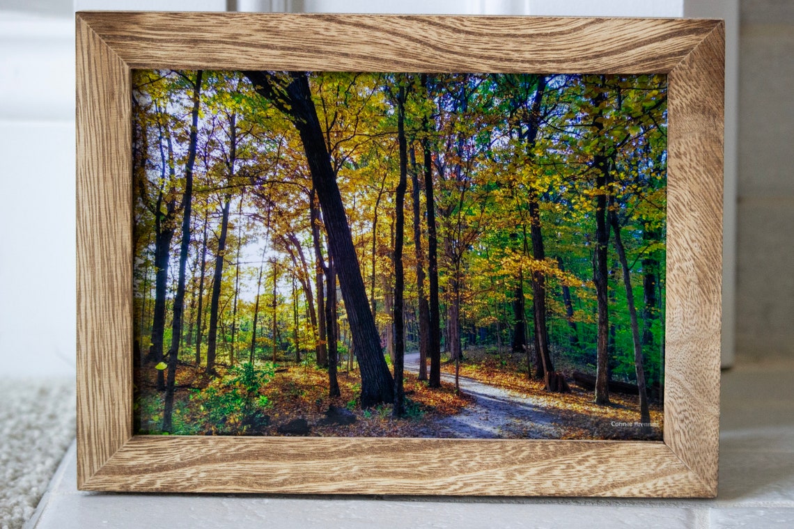 Autumn Forest Footpath Digital Print - Desktop Wallpaper, Digital Wall ...