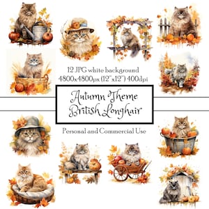 British Longhair Cat Fall Garden 12 JPG Acquerello Clipart Download istantaneo / Carte Junk Journal Collage Scrapbooking / Uso commerciale