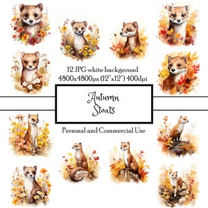 Stoat Otoño Otoño Woodland 12 JPG Acuarela Clipart Descarga instantánea / Tarjetas Junk Journal Collage Scrapbooking Fussy Cut / Uso comercial