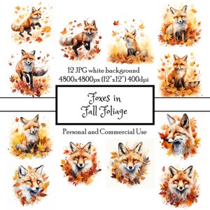 Zorros Otoño Follaje de Otoño 12 JPG Acuarela Clipart Descarga Instantánea / Tarjetas Junk Journal Collage Scrapbooking Fussy Cut / Uso Comercial