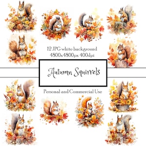 Automne Automne Écureuils 12 JPG Aquarelle Clipart Téléchargement instantané | cartes, carnets indésirables, collage, scrapbooking, coupe soignée | Utilisation commerciale