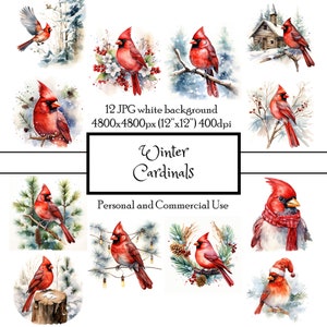 Winter Cardinals Holiday Christmas 12 JPG Aquarela Clipart Download instantâneo | Cartões Junk Journal Collage Scrapbooking | Uso comercial