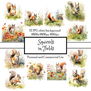 Écureuils dans les champs 12 JPG aquarelle Clipart Téléchargement instantané | cartes, carnets indésirables, collage, scrapbooking, coupe soignée | Utilisation commerciale