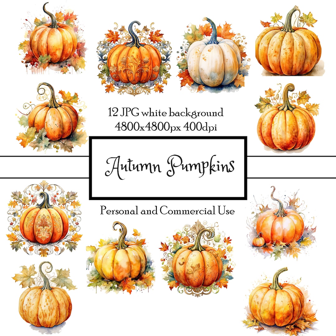 Watercolor Autumn Pumpkin Clipart: 12 JPG White Background Images for ...
