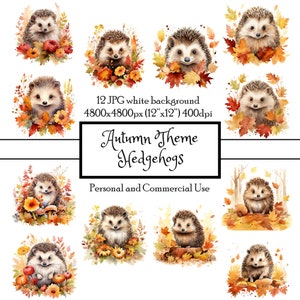 Erizos otoño bosque lindo 12 JPG acuarela imágenes prediseñadas descarga instantánea / tarjetas basura diario Collage Scrapbooking quisquilloso corte / uso comercial