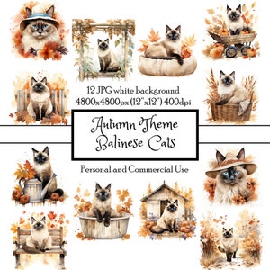 Balinese Cat Long-Haired Siamese in the Fall Garden 12 JPG Watercolor Clipart Download | Card Junk Journal Collage Scrapbook Commercial Use