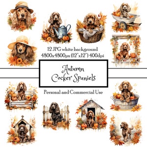 Cocker Spaniel herfst 12 JPG aquarel clipart Instant Download | Kaarten ongewenste dagboek collage scrapbooking kieskeurig knippen | Commercieel gebruik