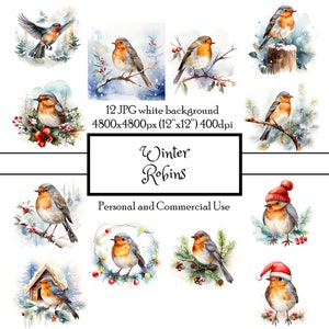 Robins Winter Holiday Natal 12 JPG Aquarela Clipart Download instantâneo | Cartões Junk Journal Collage Scrapbooking | Uso comercial