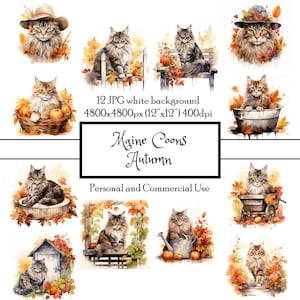Maine Coon Automne Automne Jardin 12 JPG Aquarelle Clipart Téléchargement instantané | Cartes Junk Journal Collage Scrapbook Difficile Coupe | Un usage commercial