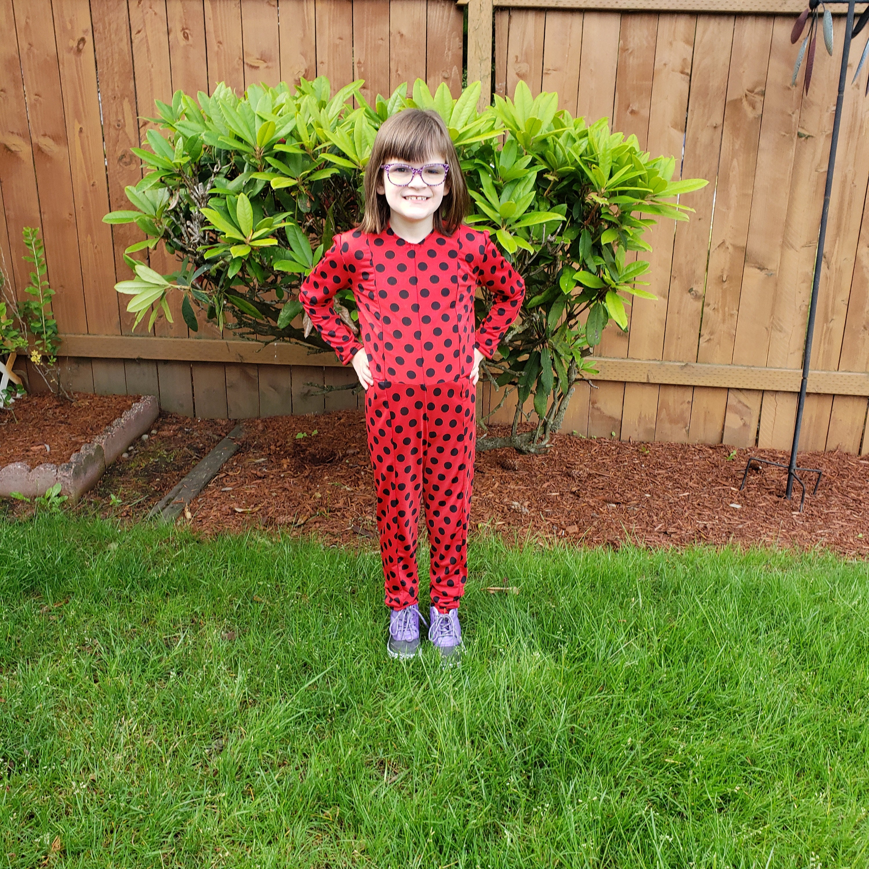 Ladybug Costume Toddler 