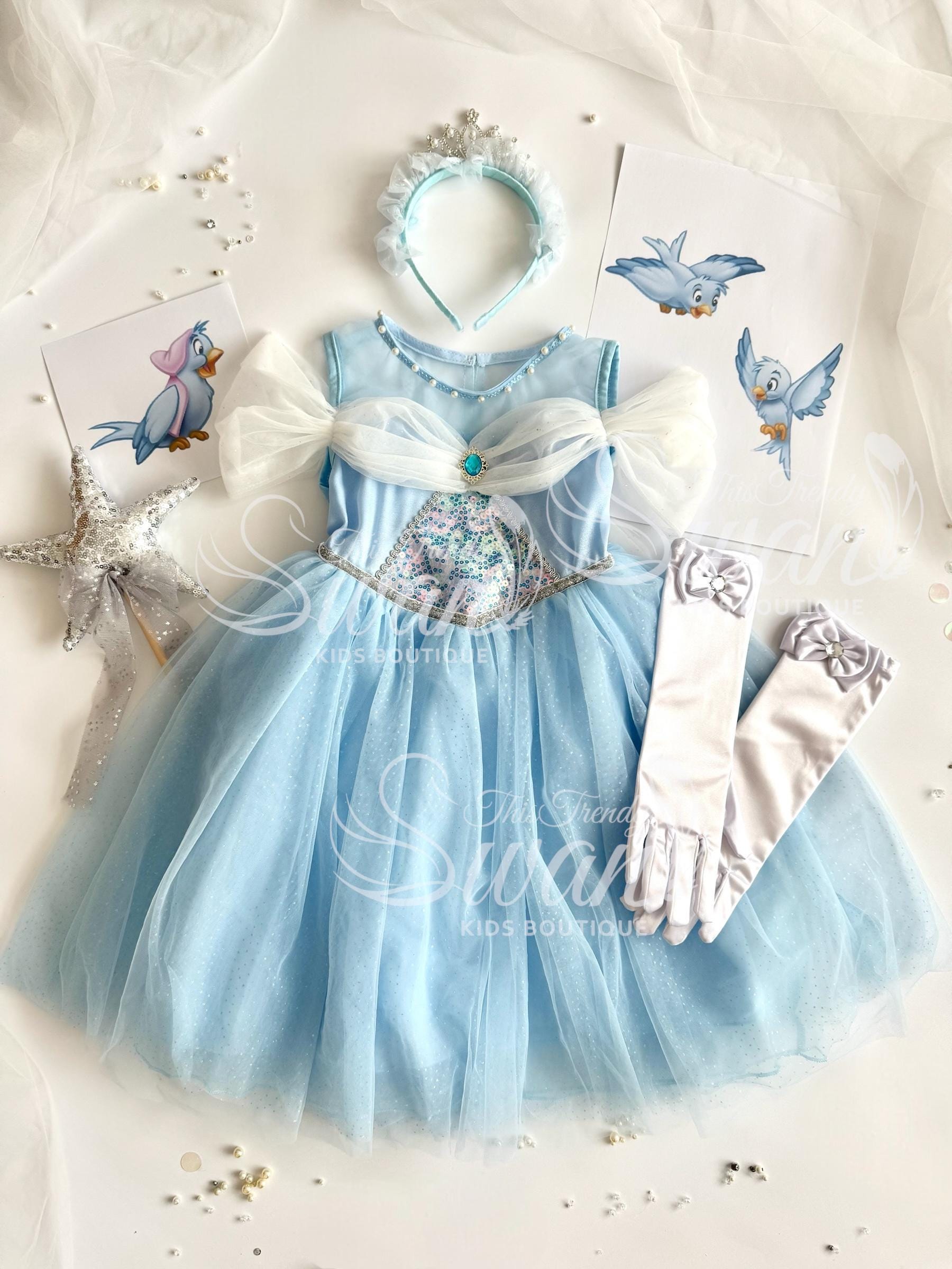 Cinderella Inspired Dance Costume Australia