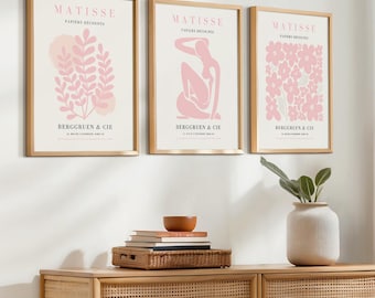 Juego de 3 láminas de arte Matisse en rosa suave - Decoración botánica abstracta