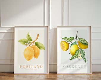 May include: Two framed prints with watercolor illustrations of lemon branches. The print on the left features a lemon branch with two lemons and the text "Positano Amalfi Coast Italy". The print on the right features a lemon branch with three lemons and the text "Sorrento Amalfi Coast Italy".
