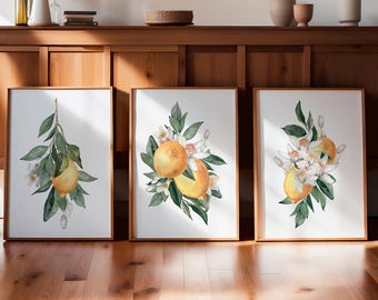 Watercolor Lemon Print Set of 3: Framed Citrus Botanical Gallery Wall Art