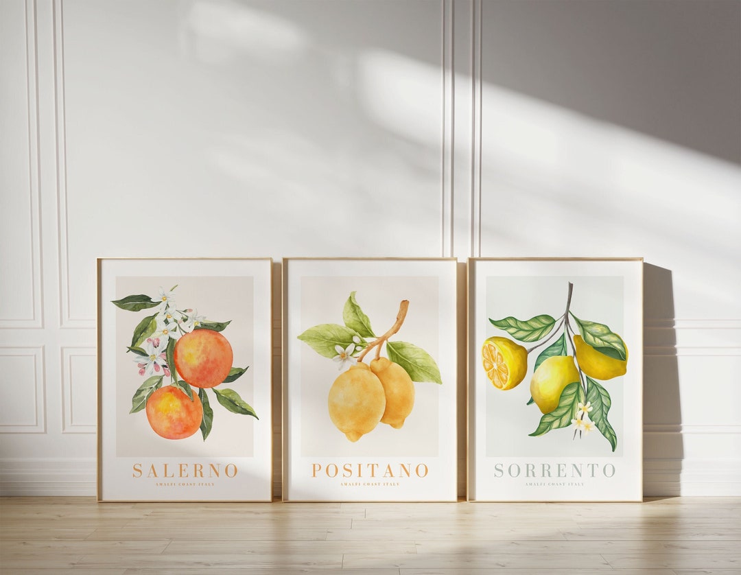 Set of 3 Framed Citrus Wall Art Prints: Italian Lemon & Orange