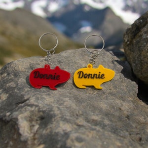 Personalized Guinea Pig Key Chain, Custom Pet Keychain, Animal Lover Gift, Cute Keyring, Guinea Pig Mom Gift
