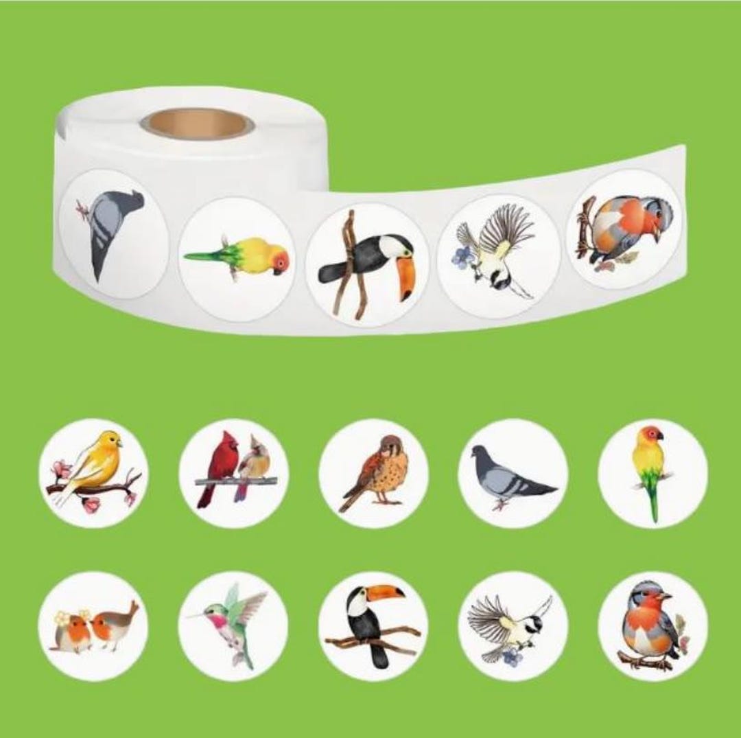 Bird Themed Vinyl Stickers Pack of 500, Bird Lover Sticker Set, Nature ...