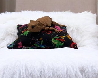 Bearded Dragon Bed Pillow, Dragon Space Ship Design, 9.5 x 7 inches, Reptile Decor