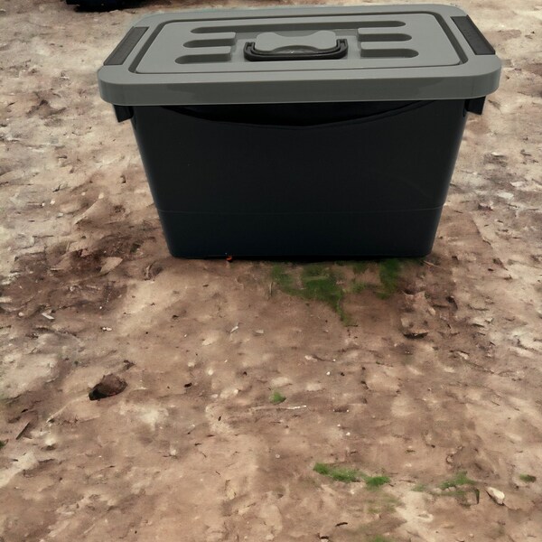 Feeder Insect Breeding Kit Etsy