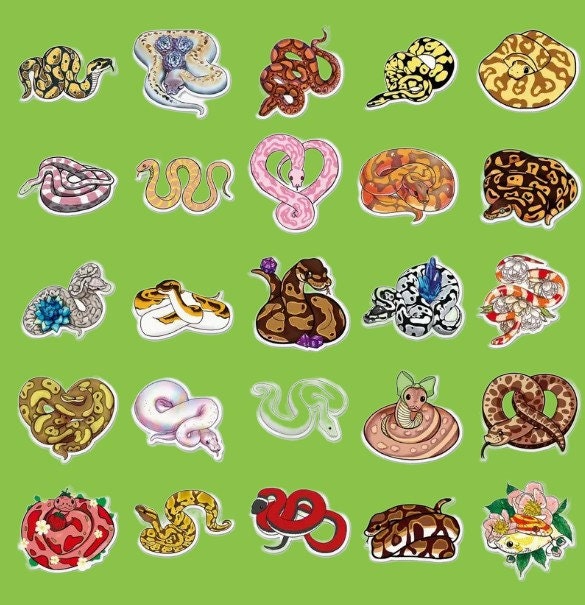 50 Colorful Snake Stickers Set, Cage Decor, Reptile Sticker Pack ...