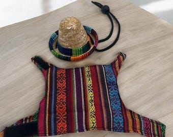 Bearded Dragon Pet Outfit - Colorful Ethnic Pattern Harness Vest with Matching Mini Sombrero Hat - Reptile Costume Accessories