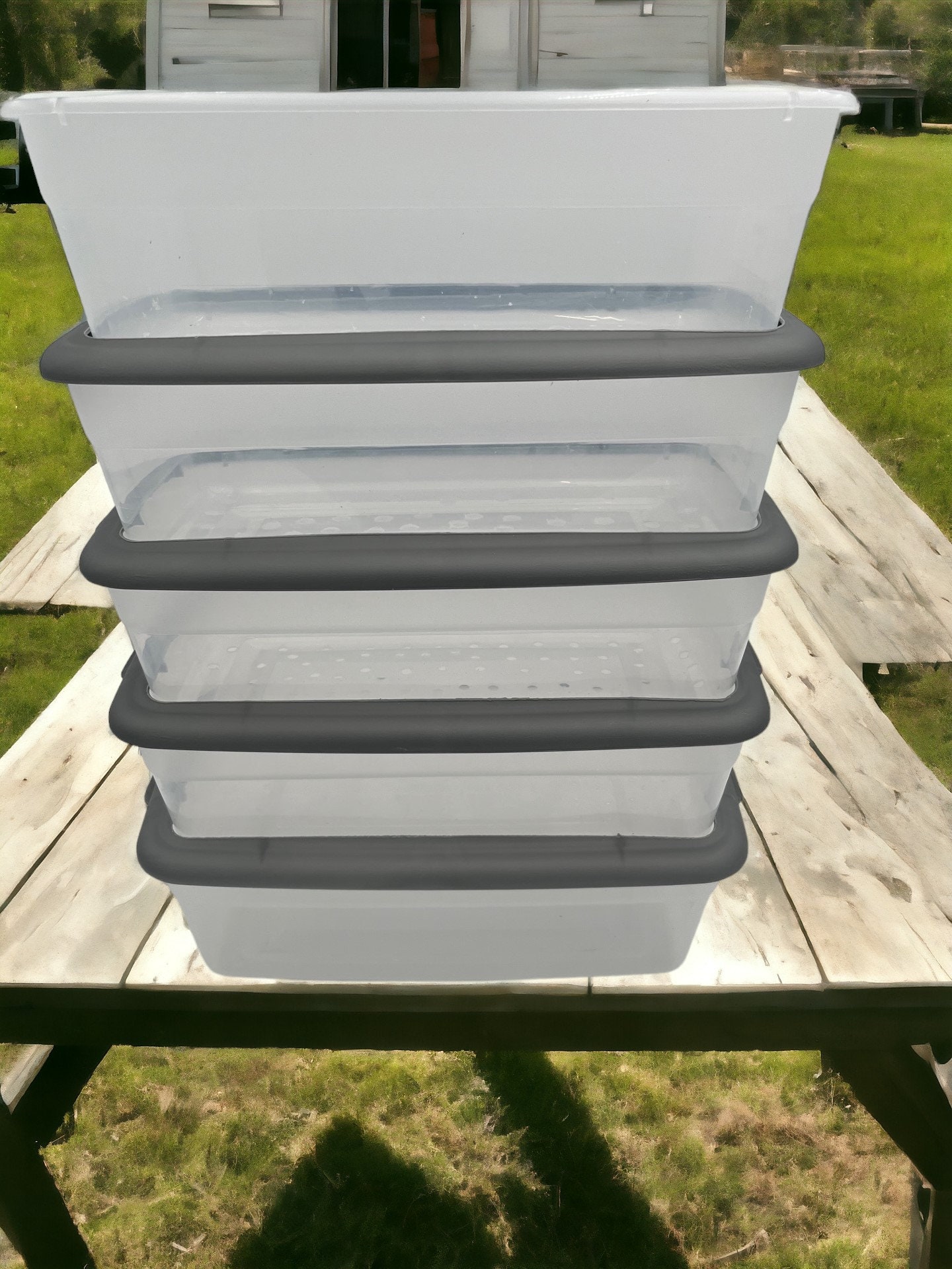 Curated visual reference: Gallery Detail: Dubia Roach Sorter For Reptiles Insect Feeder Feeding Tool Small
