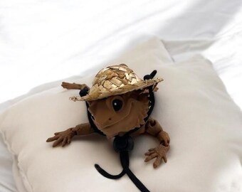 Bearded Dragon Straw Hat, Bearded Dragon Accessory, Pet Accessories, Reptile Costume, Dragon Hat, Fun Pet Gift