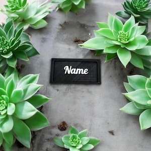Personalized Bearded Dragon,Gecko,Reptile, Cage Placard