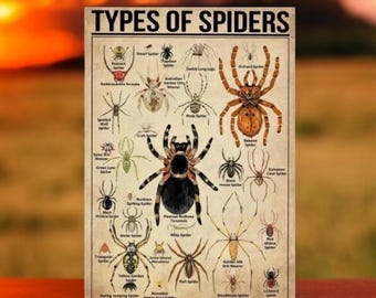 Vibrant Spider Illustration Canvas Poster, Wall Art Print, Frameless Decor, Insect Artwork, Home Decor