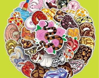 50 Colorful Snake Stickers Set, Cage Decor, Reptile Sticker Pack, Vivarium Decoration, Serpent Decals