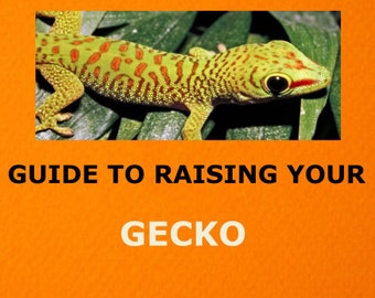 Gecko Pet Care Guide Digitaler Download, Reptilienpflegetipps, Pet Gecko Essentials, Anfängerleitfaden, Gecko Pet Owner Manual