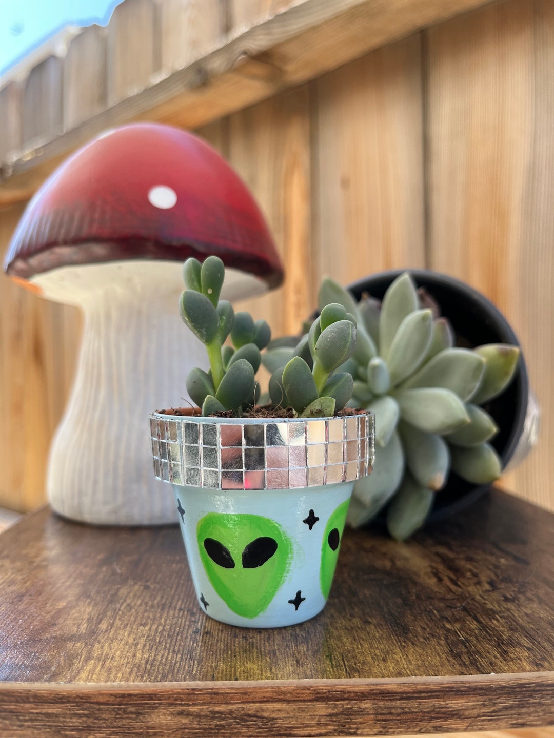 Aliens Exist | Tiny Disco Pot | Aliens, Disco, Succulent, Flower Pot ...