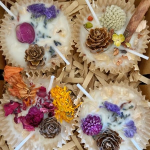 Peut inclure: Quatre petites bougies blanches avec des fleurs séchées et des pommes de pin incrustées dans la cire. Les bougies sont dans des caissettes en papier et sont disposées dans une boîte remplie de papier brun déchiqueté.