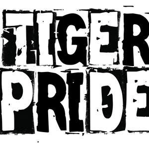 Tiger Pride Distressed