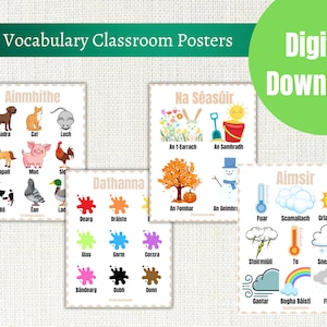 Irish Vocabulary Classroom Posters- Ästhetische Poster für grundlegende Wörter als Gaeilge- Irish School Ressource- Irish learning at home