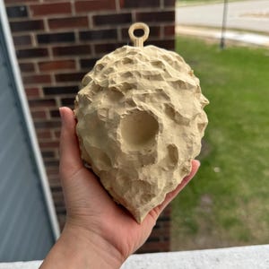 May include: A light beige, carved wooden ornament with a textured surface and a loop at the top for hanging. The ornament has a rounded shape with a hole in the center. The item is held in a hand.