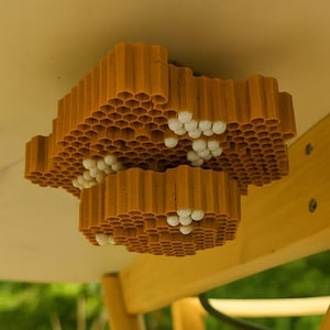 Könnte beinhalten: Ein braunes, wabenförmiges Objekt mit weißen Kugeln, das an der Unterseite eines Tisches befestigt ist. Das Objekt besteht aus vielen kleinen, sechseckigen Zellen. Der Tisch hat hellbraune Holzbeine und eine hellfarbige Platte.