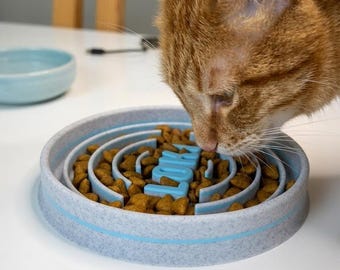 Personalized Slow Feeder Cat Bowl, Custom Name Cat Puzzle Bowl, Interactive Slow Eating Feeder