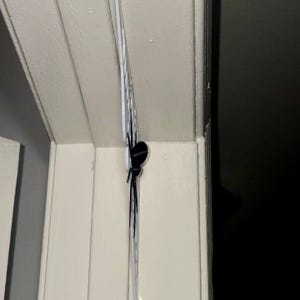 K&ouml;nnte beinhalten: Eine schwarze Spinnendekoration mit langen Beinen ist an einer wei&szlig;en Oberfl&auml;che befestigt. Die Spinne befindet sich in der N&auml;he einer Ecke, mit einem dunklen Hintergrund. Die Dekoration scheint aus leichtem Material zu bestehen.