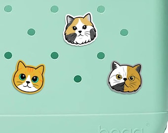 Personalized 3D Printed Cat Charm for Bogg Bag: Custom Fur Pattern & Eye Color