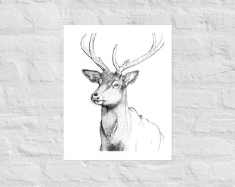May include: Black and white illustration of a deer with large antlers. The artwork is a detailed pen and ink drawing, showcasing the deer's profile against a white background. The image is printed on a white paper.