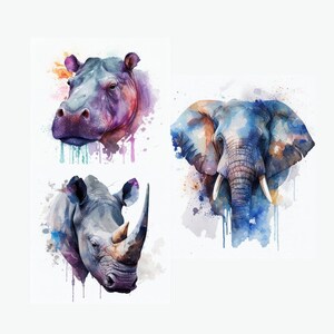 55 African Strong Animals Clipart High Quality PNG Images - Digital Download, Card Making, Elephants,  Rhinos and Hippos, Commercial Use