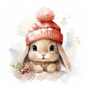 20 konijn aquarel kerst PNG clipart bundel, schattig konijntje, winter konijntje, kerstknutsels en decor, kerst konijn, kaart maken