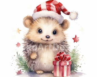 20 Igel Aquarell Weihnachten Clipart PNG Bilder, Niedlicher Igel, Weihnachten Igel, Weihnachten Handwerk und Dekor, Frohe Weihnachten, Kartenherstellung