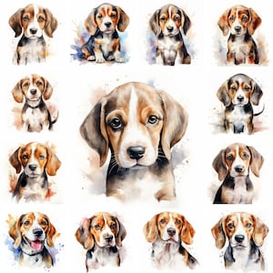 20 Beagle Dog and Puppy Watercolor Clipart PNG Images, Beagle Puppy, Beagle Breed, Cute Beagle Puppy, Dog Lovers, Free Commercial Use