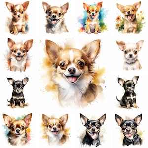 20 imágenes PNG de imágenes prediseñadas de acuarela de perro y cachorro chihuahua, cachorro chihuahua, raza chihuahua, cachorros lindos, retrato de mascota chihuahua de pelo largo