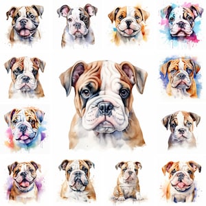 20 Bulldog and Puppy Watercolor Clipart PNG Images, Bulldog Puppy, Bulldog Breed, Cute Puppies, Dog Portrait, Dog Illustrations Images