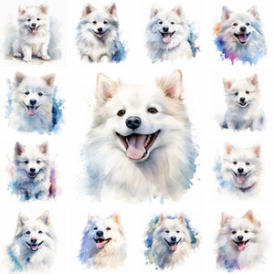20 imágenes PNG de imágenes prediseñadas de acuarela de perro esquimal americano y cachorro, perro ártico, raza esquimal americana, amantes de los perros, lindo cachorro esquimal americano